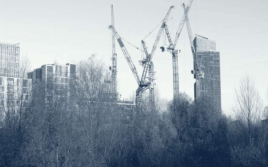 Tower cranes on a construction skyline